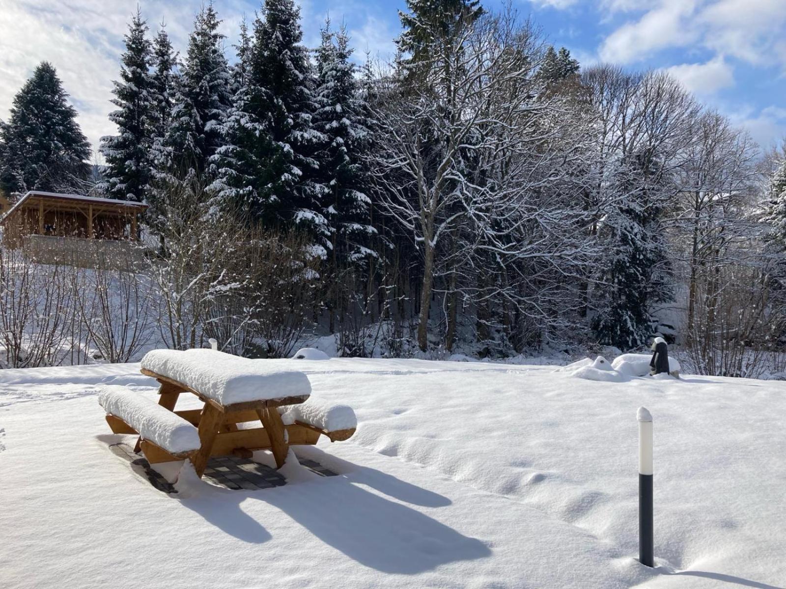 La Cabane Des Ecureuils クソンリュプト・ロンジュメール エクステリア 写真